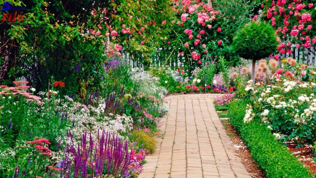 Ecojardi - jardines y terrazas