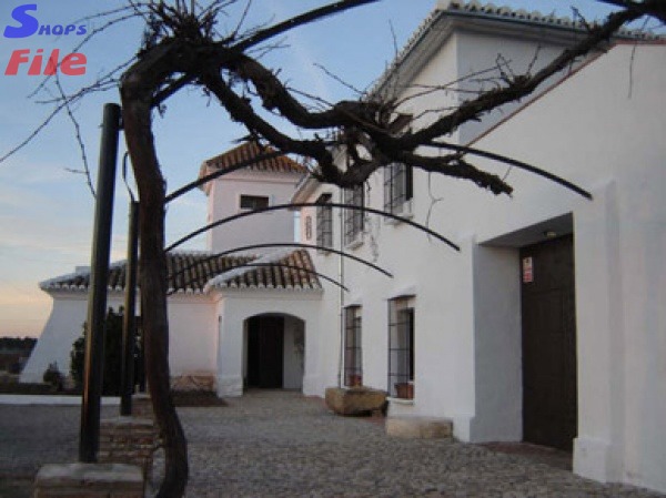 Casa Rural Vega de Antequera - Antequera - Malaga | Holiday homes